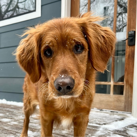 Meet your Posher, Kalyn! - Picture 7 of 7